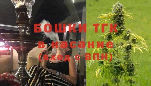 винт Богданович